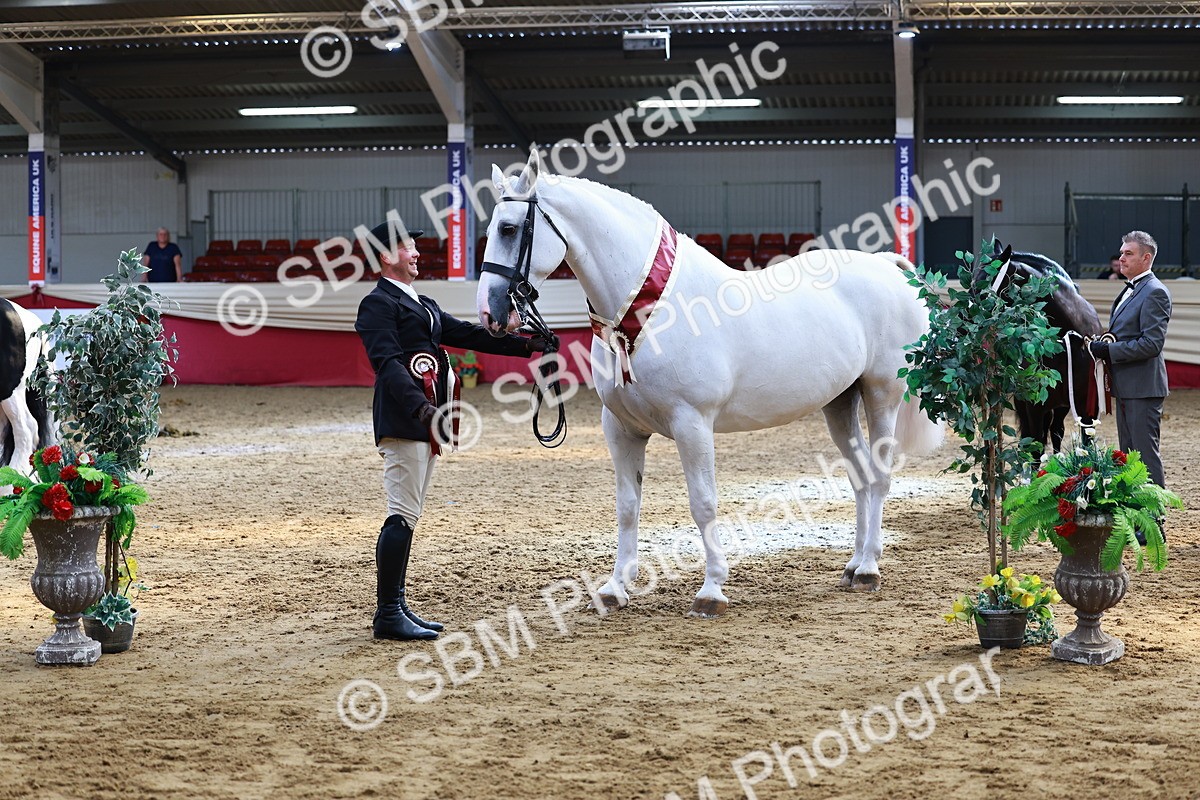 SBM_23293 - Class 903 - Supreme Final - IH Pre Vet