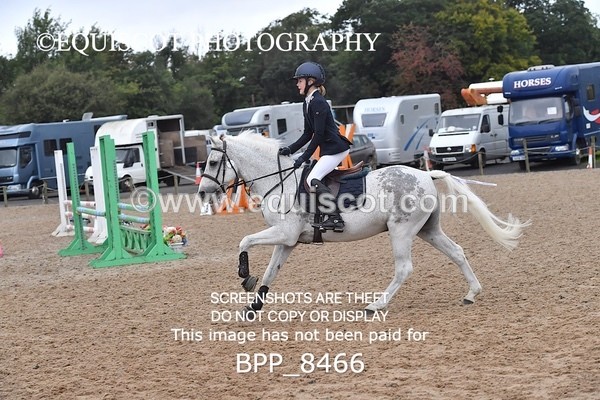 BPP_8466 - CLASS 3 Pony BritiNovice / 0.80m Open