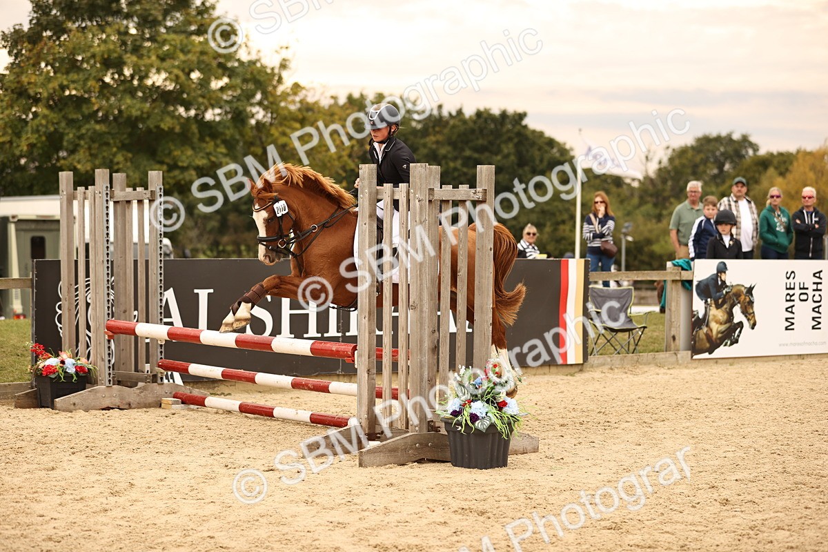 SBM_72654 - J14 - Junior Pony 65cm Championship