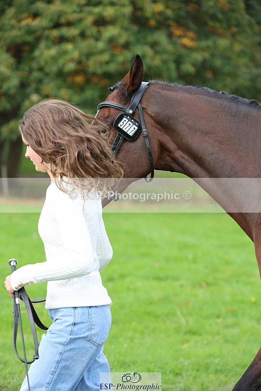 251026A-115802-25792 - G-577-Sophie.Tunnicliffe