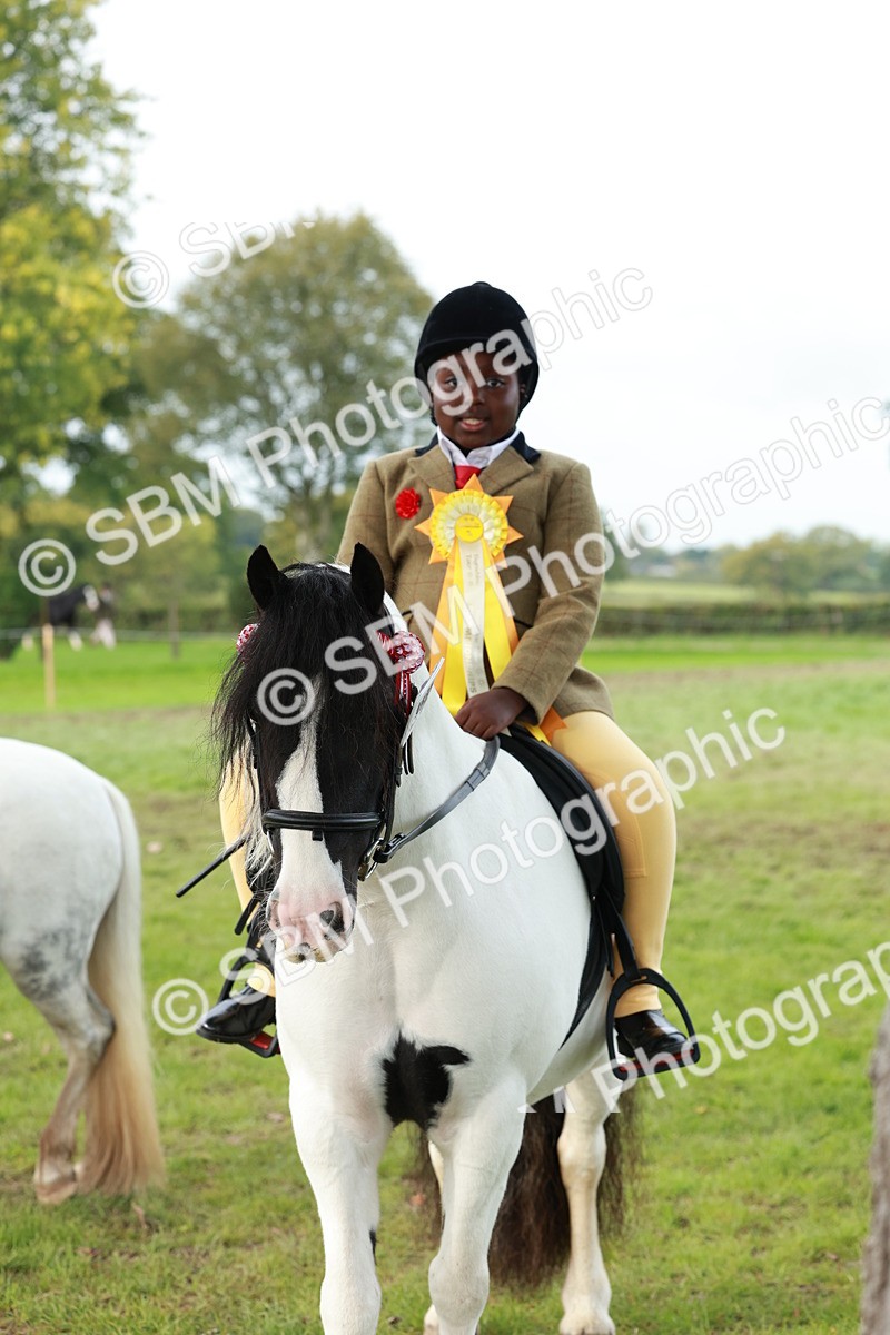 SBM_56482 - S39 - Starters In Hand Showing