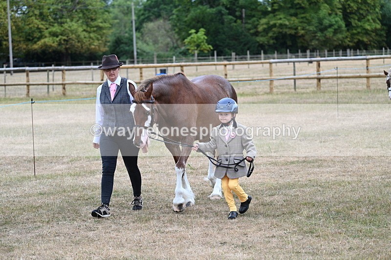 WJ7_8008 - Class 4 Prettiest Mare up to 14.2hh