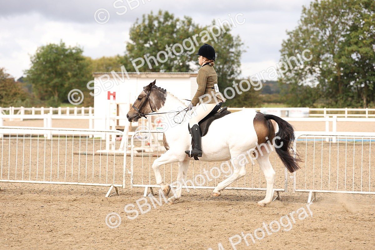 SBM_02837 - Class 53 - Ridden Competition Horse/Pony