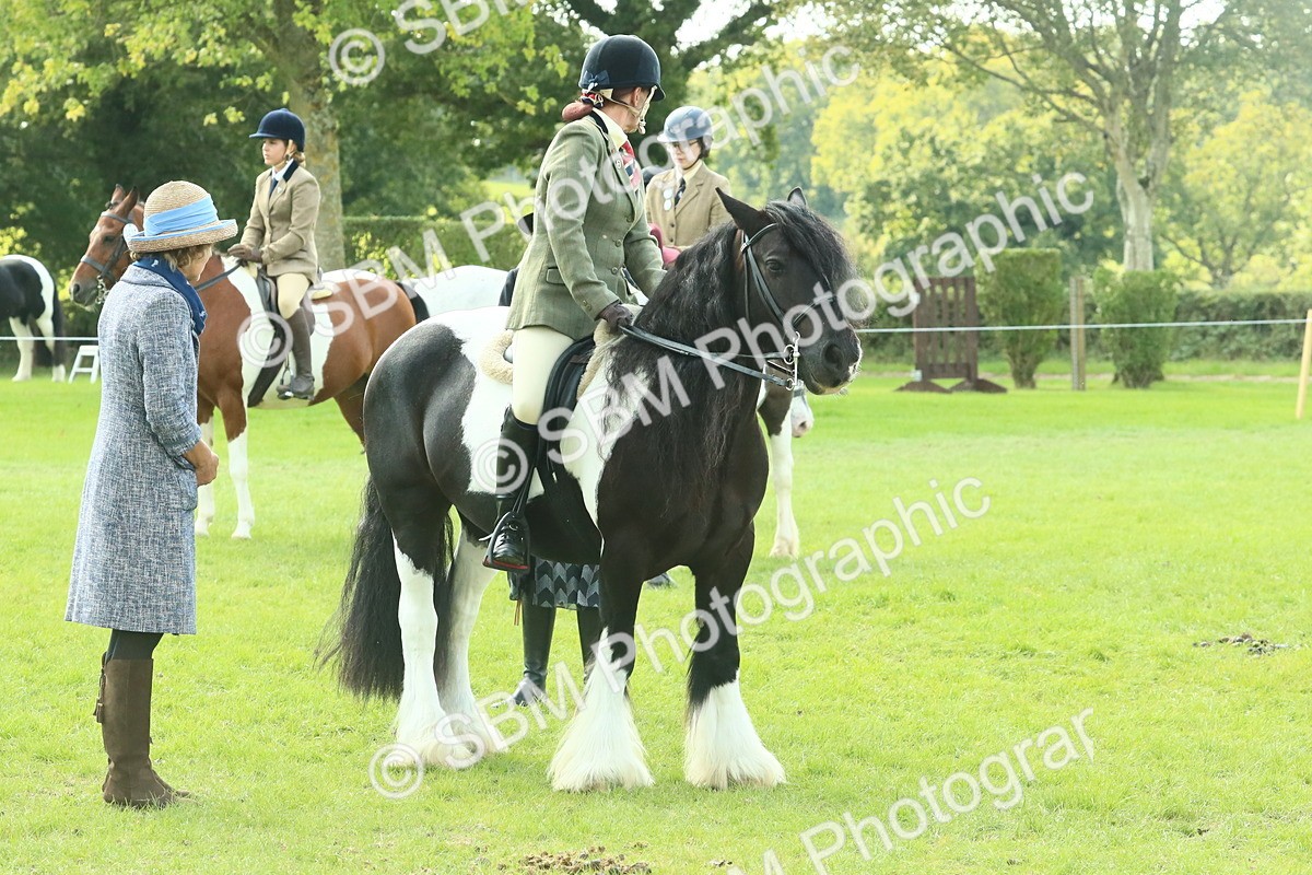 SBM_67563 - S56 - Coloured Pony Ridden