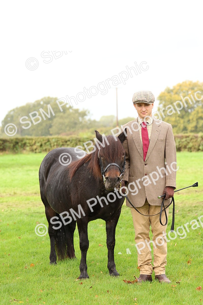 SBM_39299 - S24 - Young Veteran In Hand