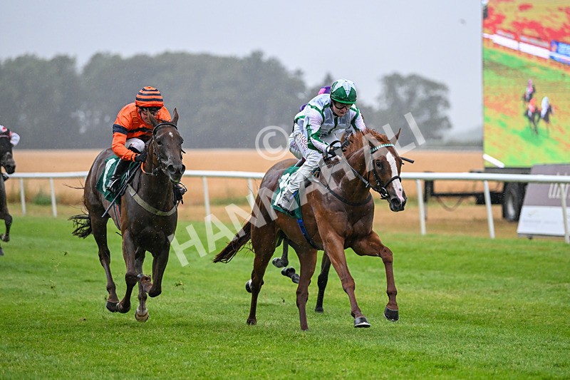 150725-Race 3-The Kamikaze King-6750 - Race 3