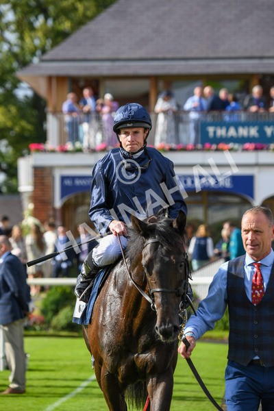 250823-Race 6-Battle Cry-1082 - Race 6 4.45pm British EBF 40th Anniversary Convivial Maiden Stakes