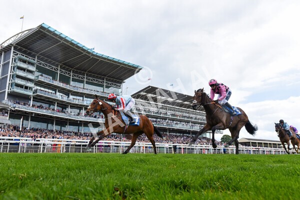 yr11062022r2-93 - Race 2 2.00pm Queen Mother's Cup