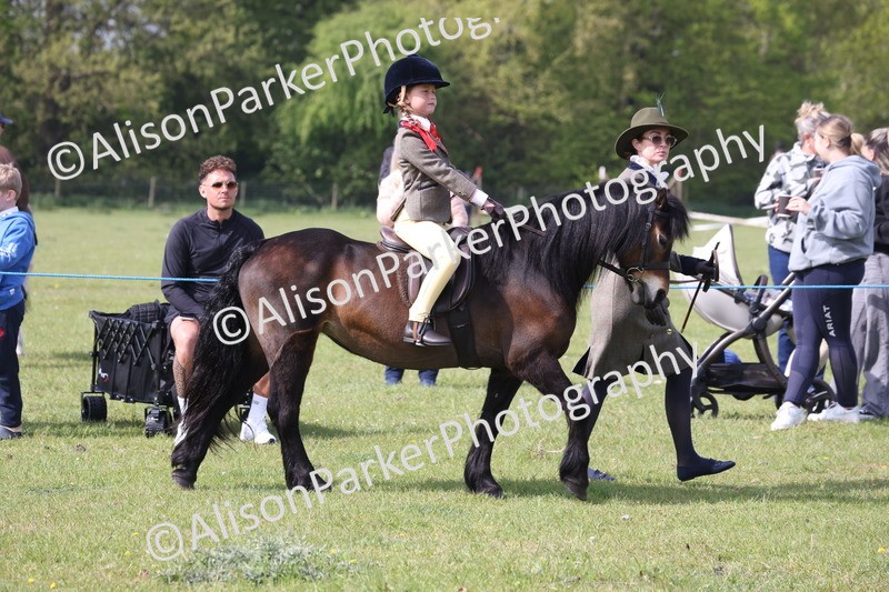 20260426-0580 - Class 31 - Leading Rein