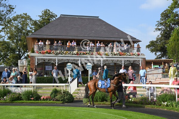 yr05092021r5-45 - Race 5 4.20pm Little Green Rascals Children's Nurseries Stakes