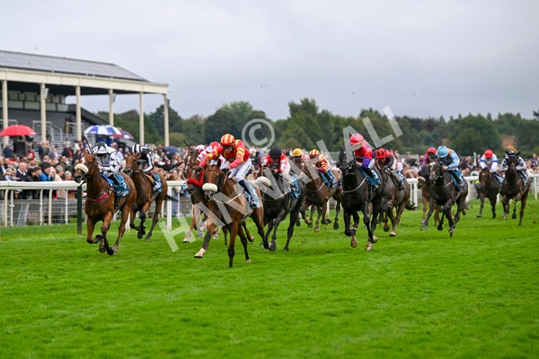 080924-Race 6-Northern Spirit-9452 - Race 6 4.35pm Hanson Springs Handicap