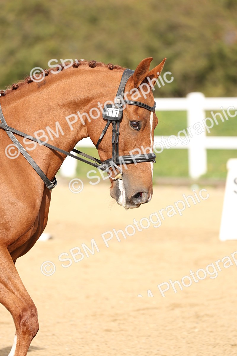 SBM_000561 - Class 1 - Prelim 4