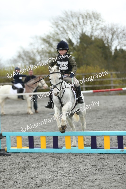 20260412-0661 - Show Jumping