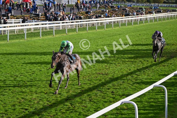 121024-Race 6-Gibside-3428 - Race 6 4.30pm Coral We're Here For It Stayers Handicap