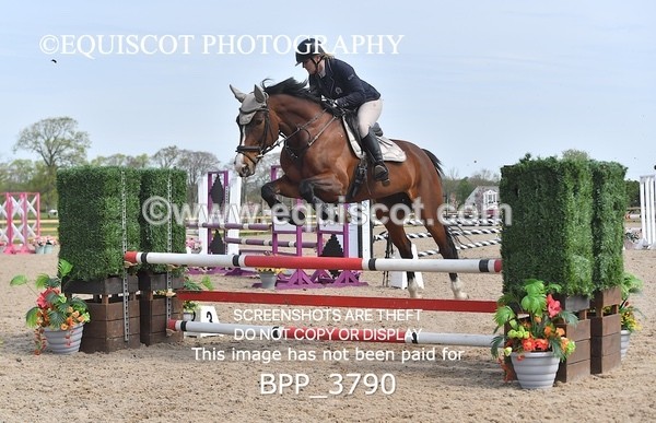 BPP_3790 - CLASS 3 Senior British Novice/ 90cm Open