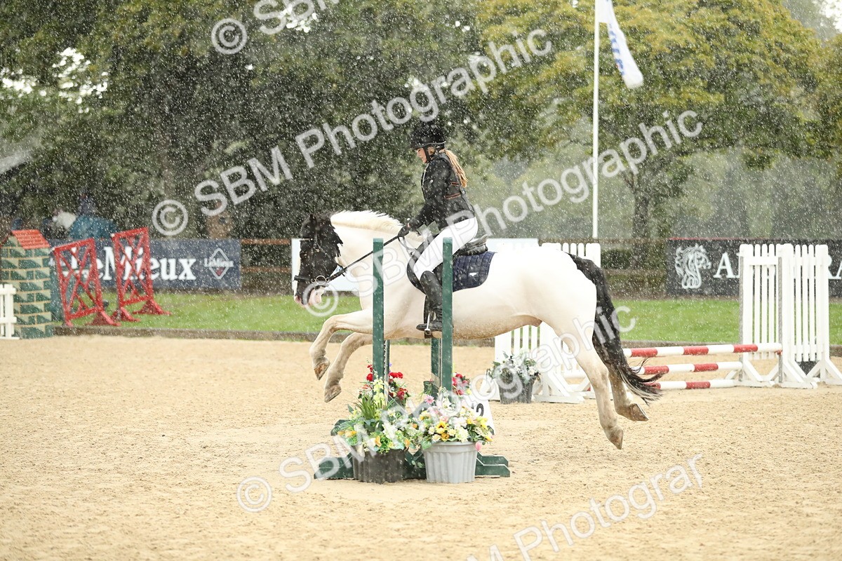 SBM_34291 - J60 Clear Round 50cm