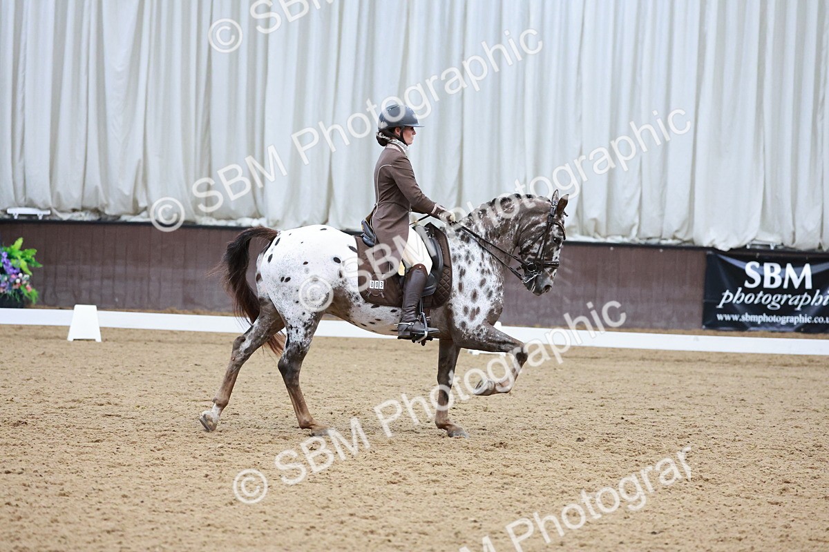 SBM_016578 - Class 5 - FEI INT II - 17.24-18.20