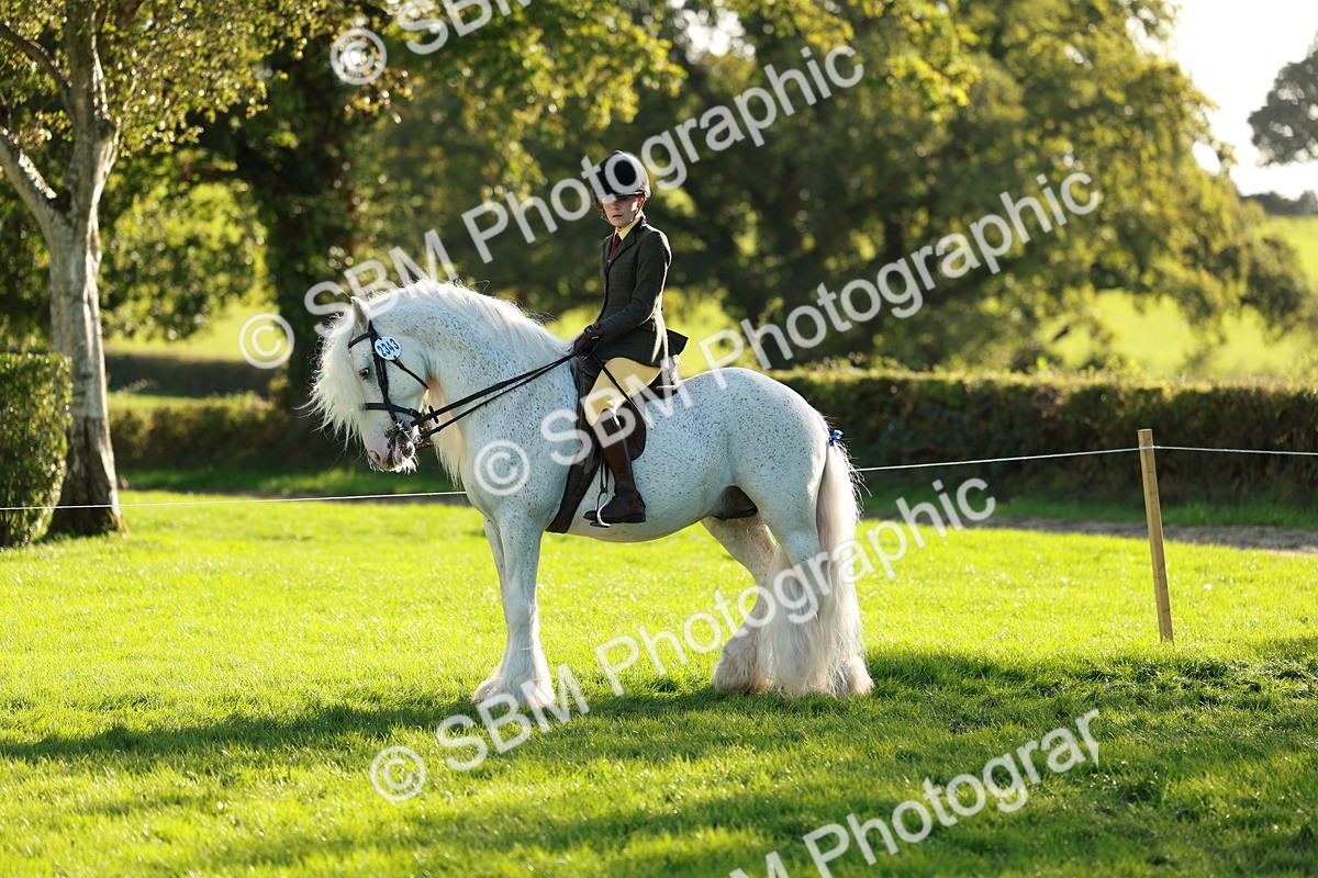 SBM_28768 - S7 - Novice & Newcomer Ridden Pony