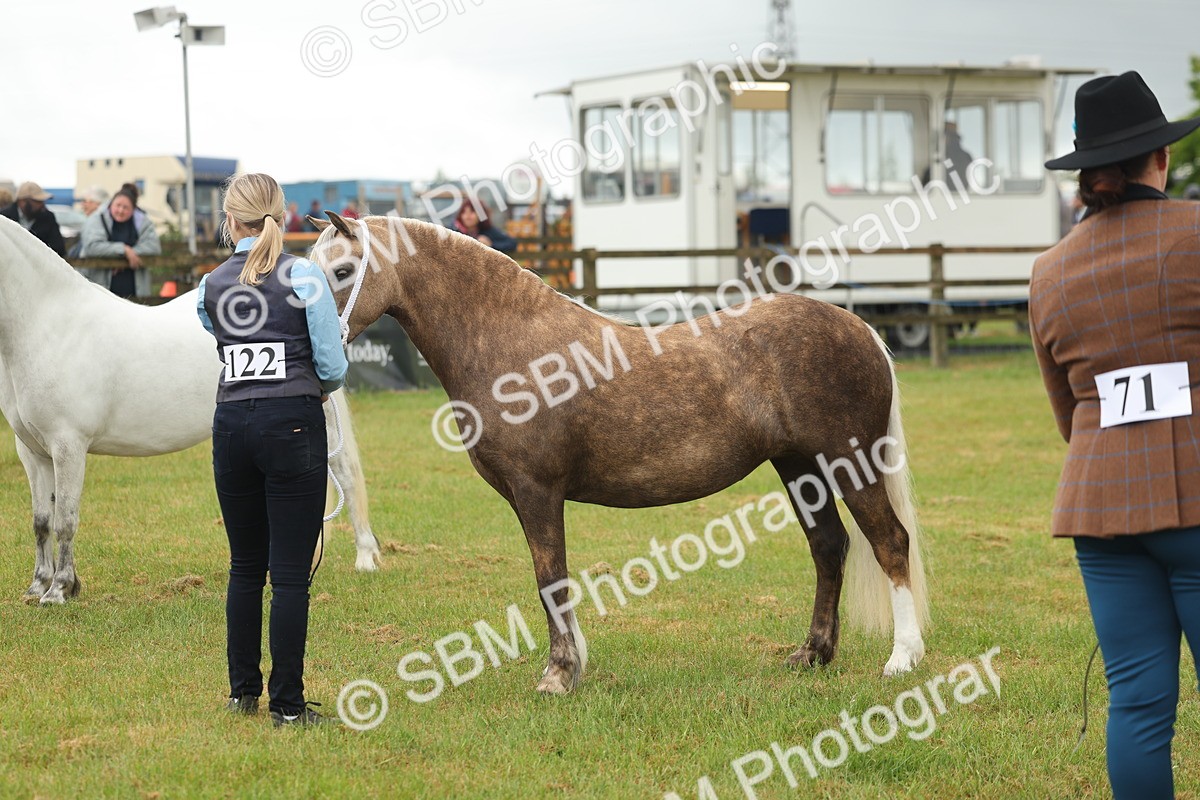 SBM_01586 - Class 50-57 - M&M Welsh Pony In Hand