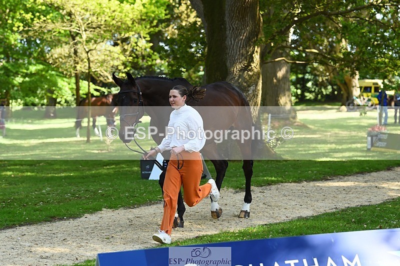 230524-161812-00824 - 263-CARWARTHEN_HARRIER-Polly_Muirhead-WEDTrotUp+DR