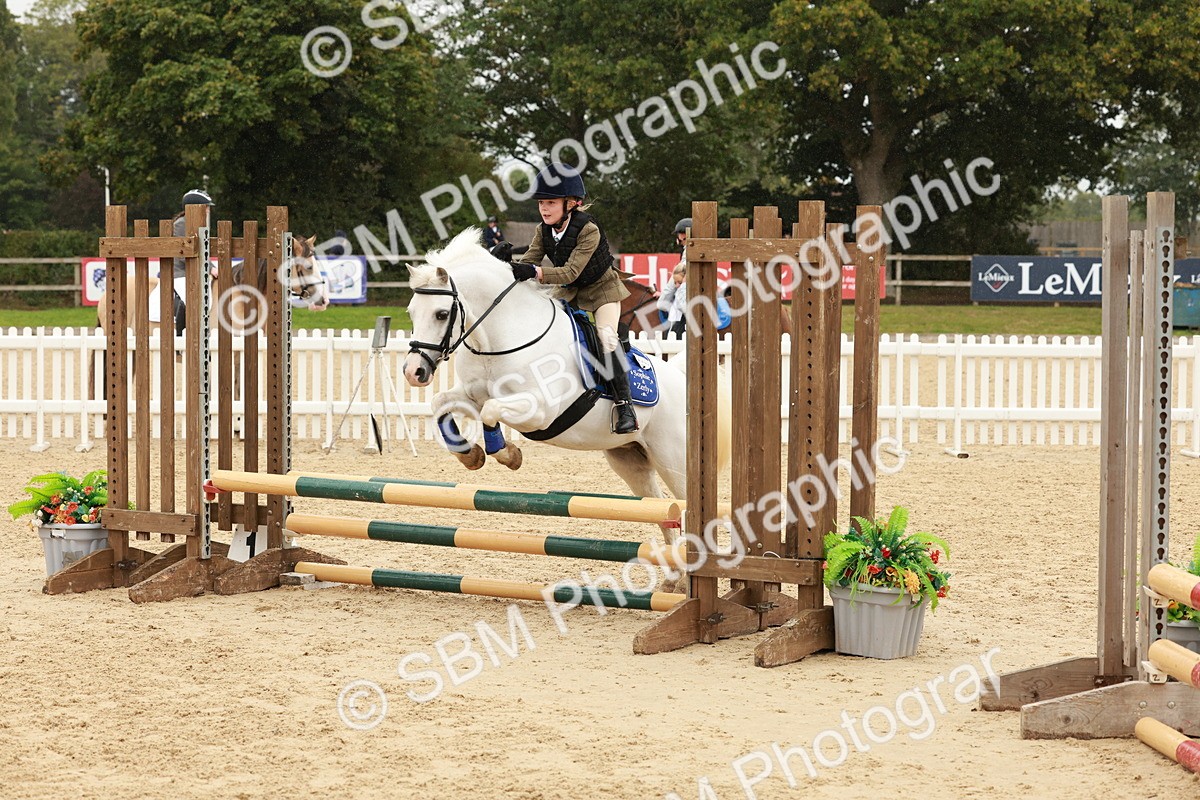 SBM_69242 - J13 - Junior Pony 60cm Championship