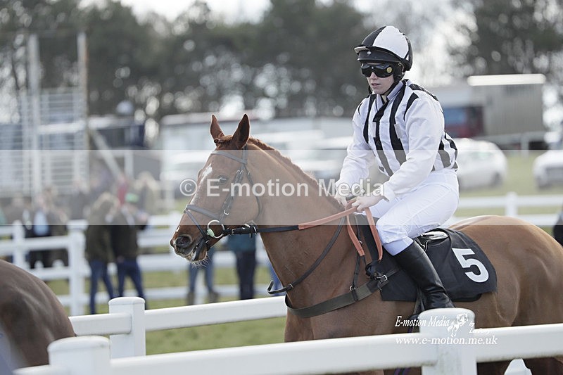 PtP 260223 41 - South & West Wilts Point-to-Point Larkhill 26/02/23