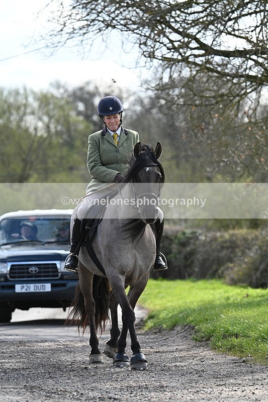 WJ7_9953 - Walk Home