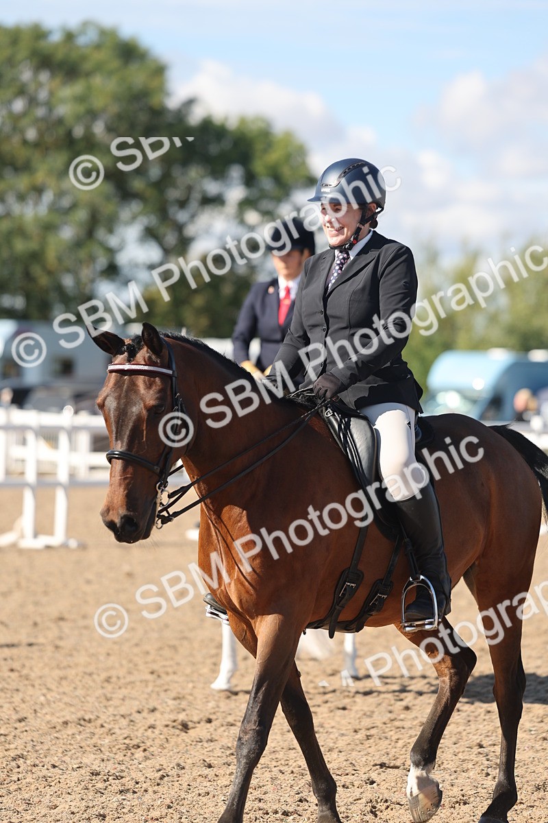 SBM_13081 - Class 305 - Ridden Foreign Breed Pure Bred