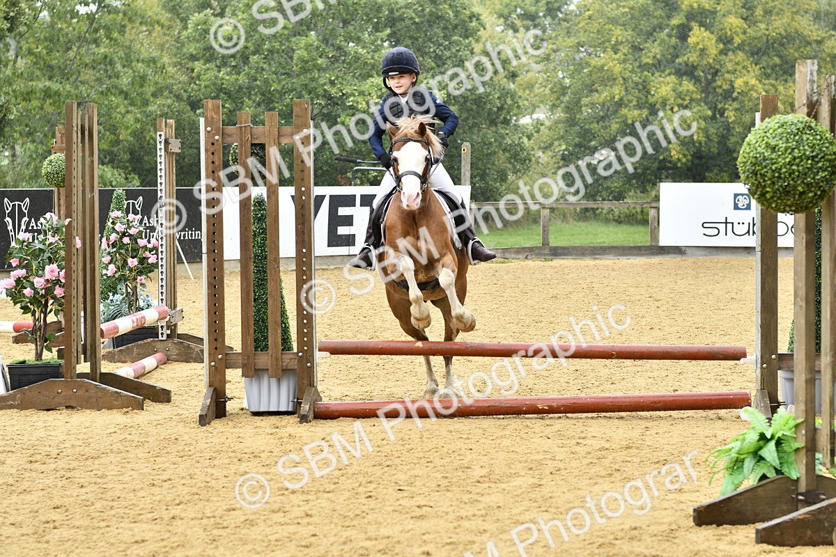 SBM_70929 - J3 - Mini Tour Junior Pony 40cm championship