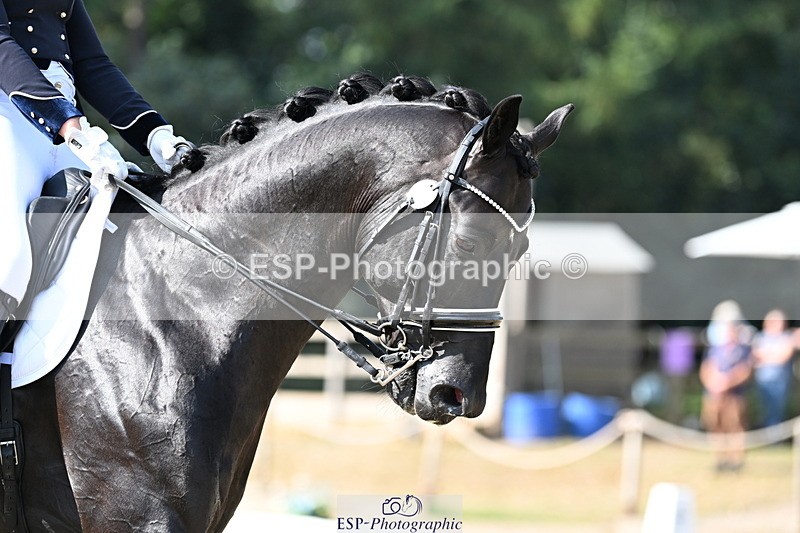 250810A-101008-05045 - 132-Rebecca.CowderoyNights.Dream