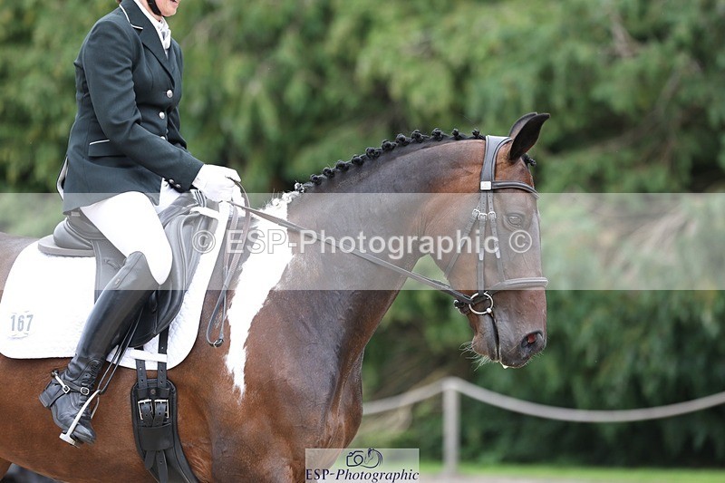 230813-152233-08054 - Cls 11 Elem Bronze 14.30 to End