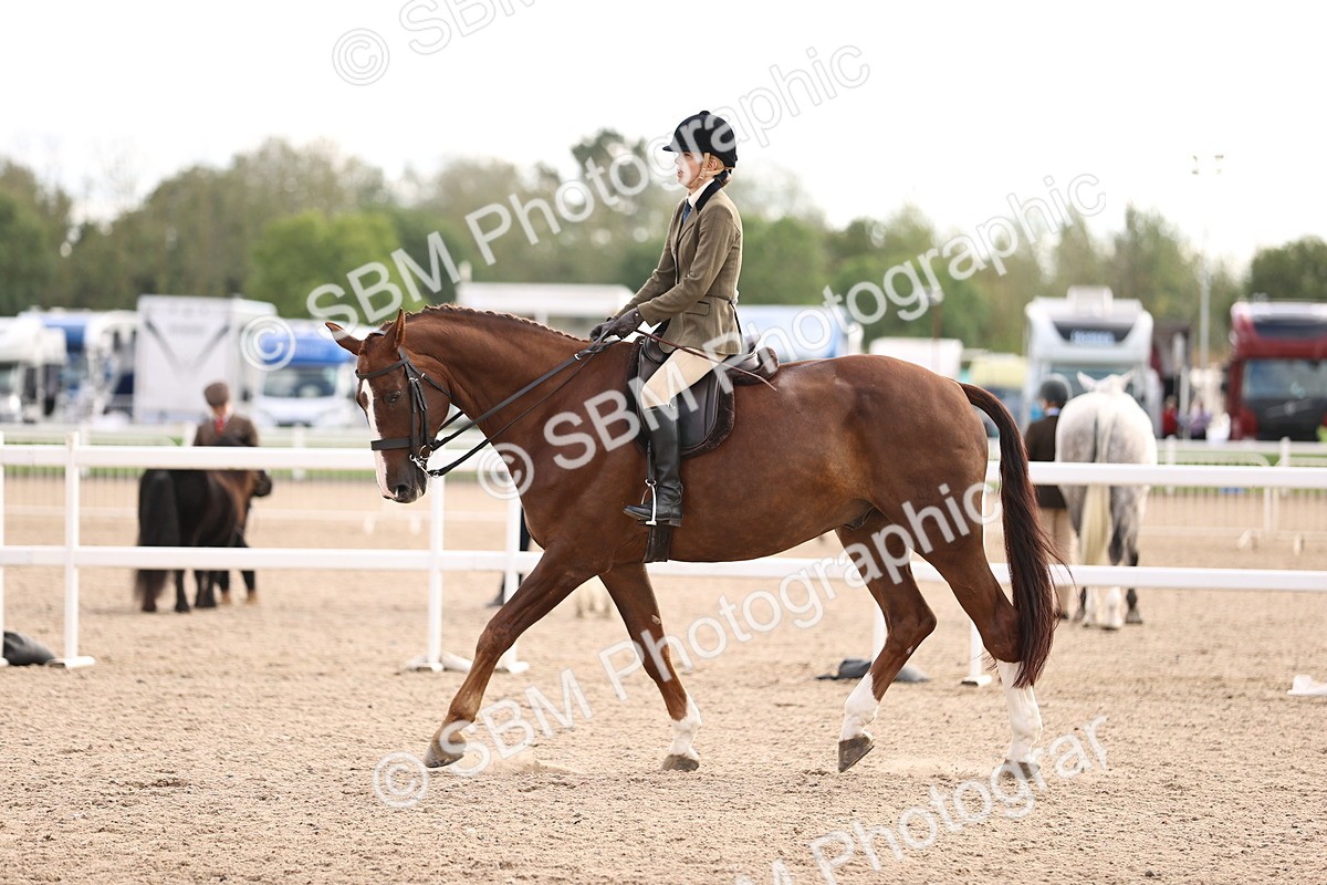 SBM_18204 - Class 423 - Equitation (best rider) Adult