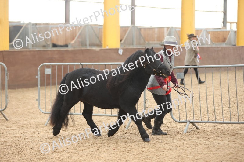 20251109-0124 - Championship