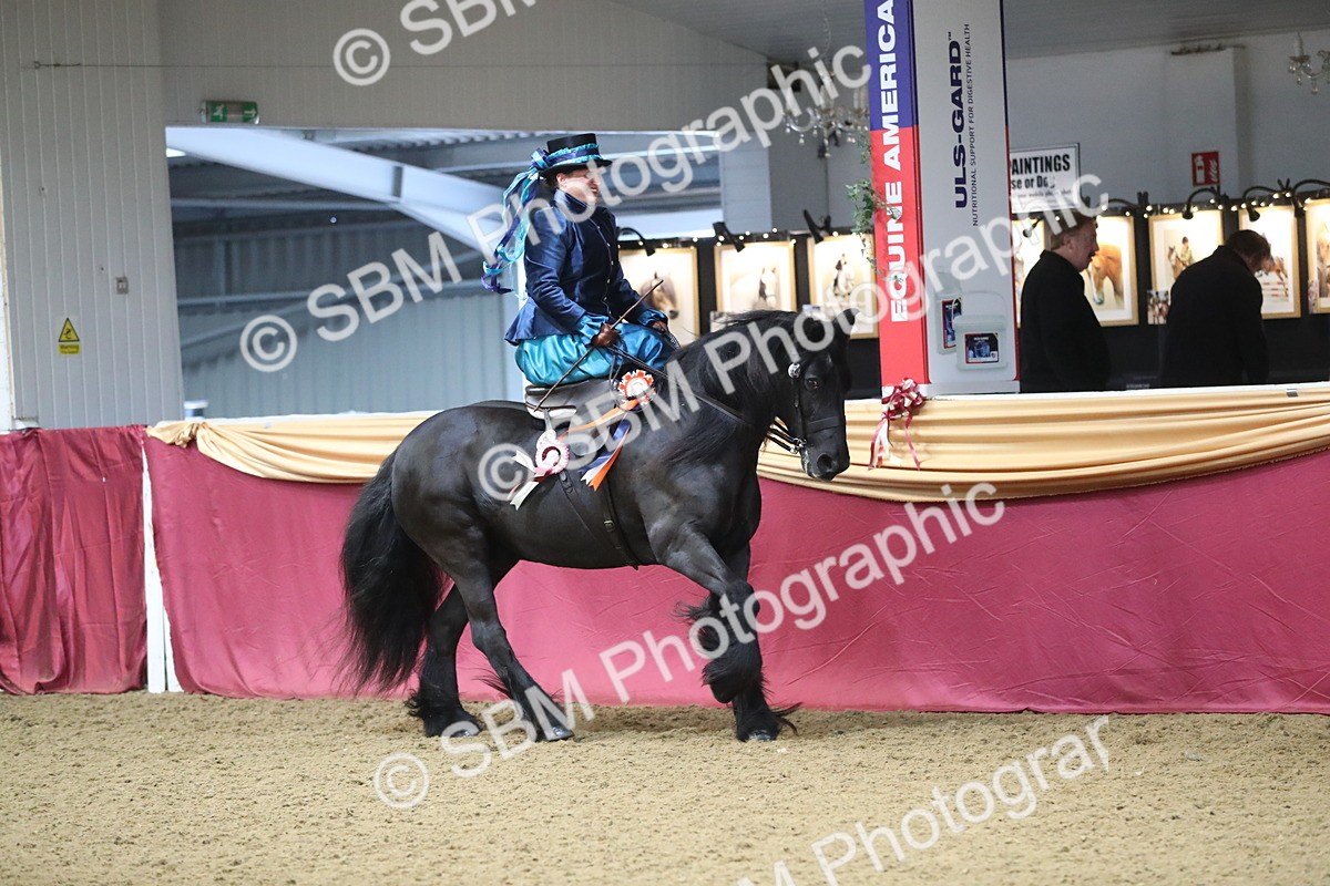 SBM_11648 - Class 105 Ridden Costume- Side Saddle