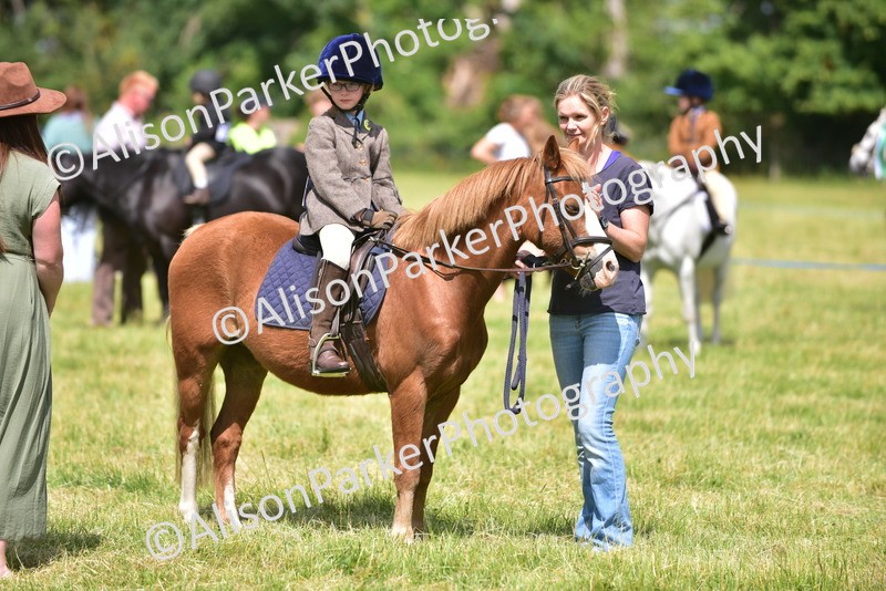 20260614-1227 - Class 11a - Lead Rein Pony (Unplaited)