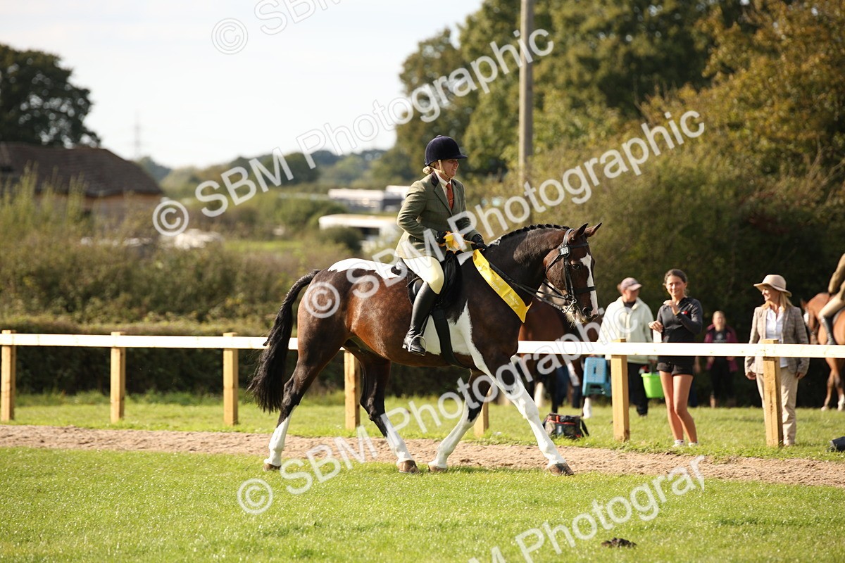 SBM_50249 - S26 - Young Veteran - Ridden