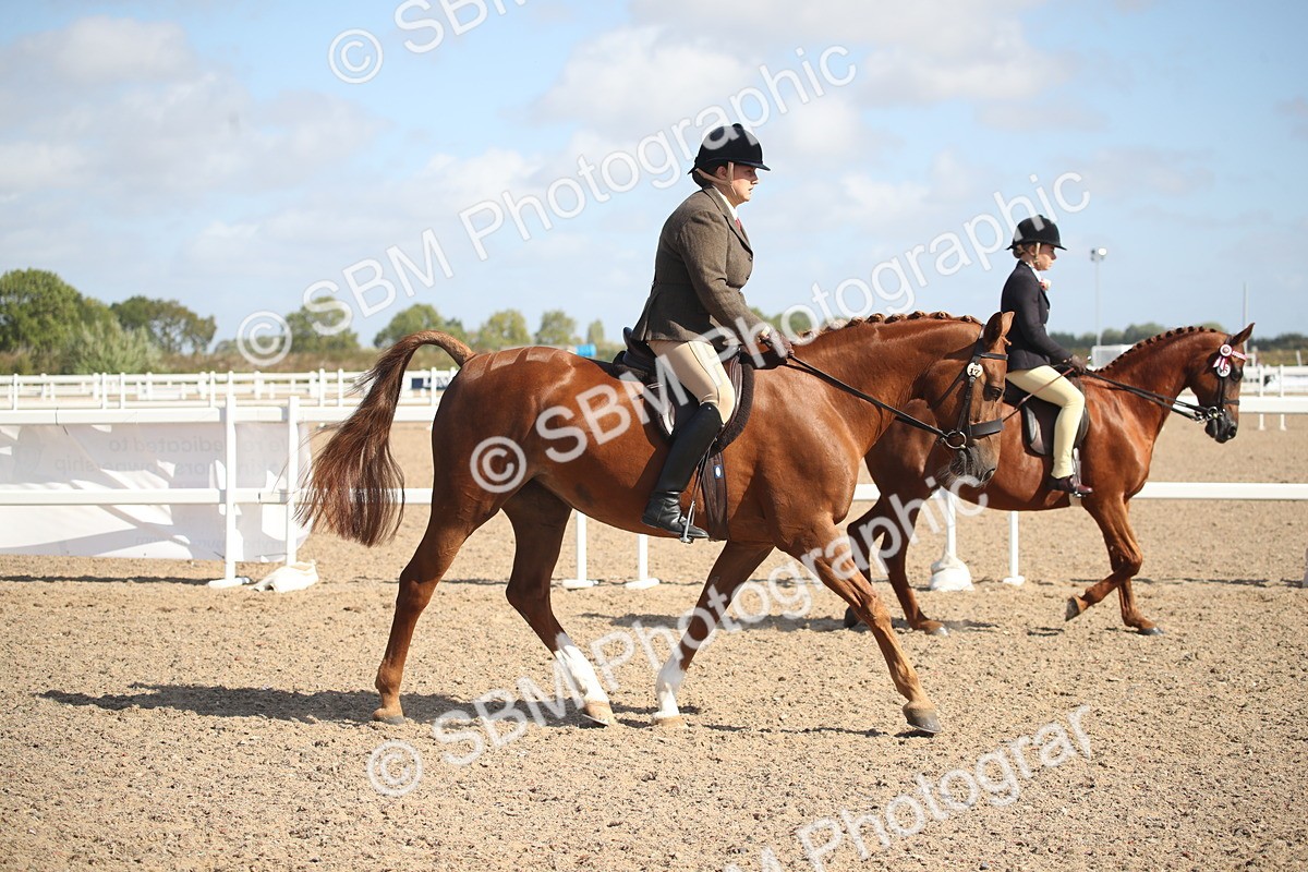 SBM_22904 - Class 603 - 2026 - Ridden Pre Vet