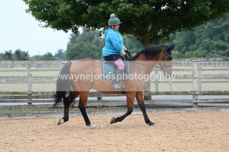 WJ7_8222 - Poles 11:00am