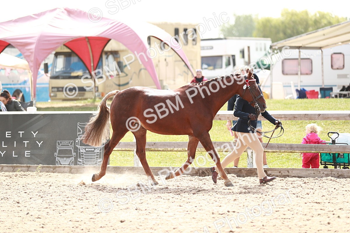 SBM_13855 - Class 209 IH Veteran Pony