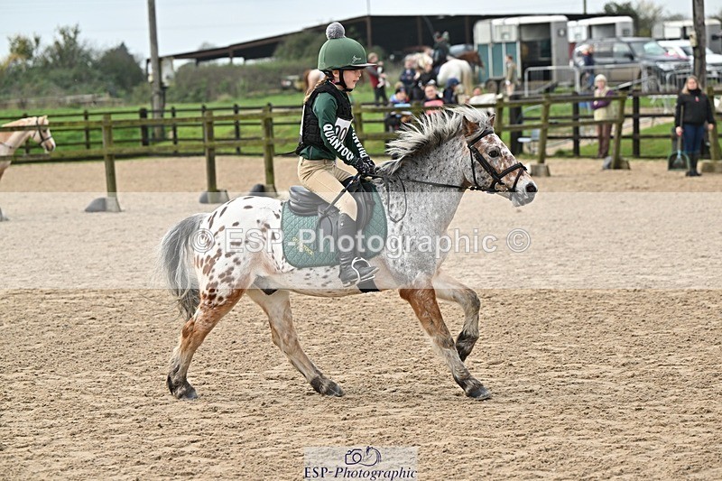 241110-112856-00436 - 50-55cm Arena Eventing