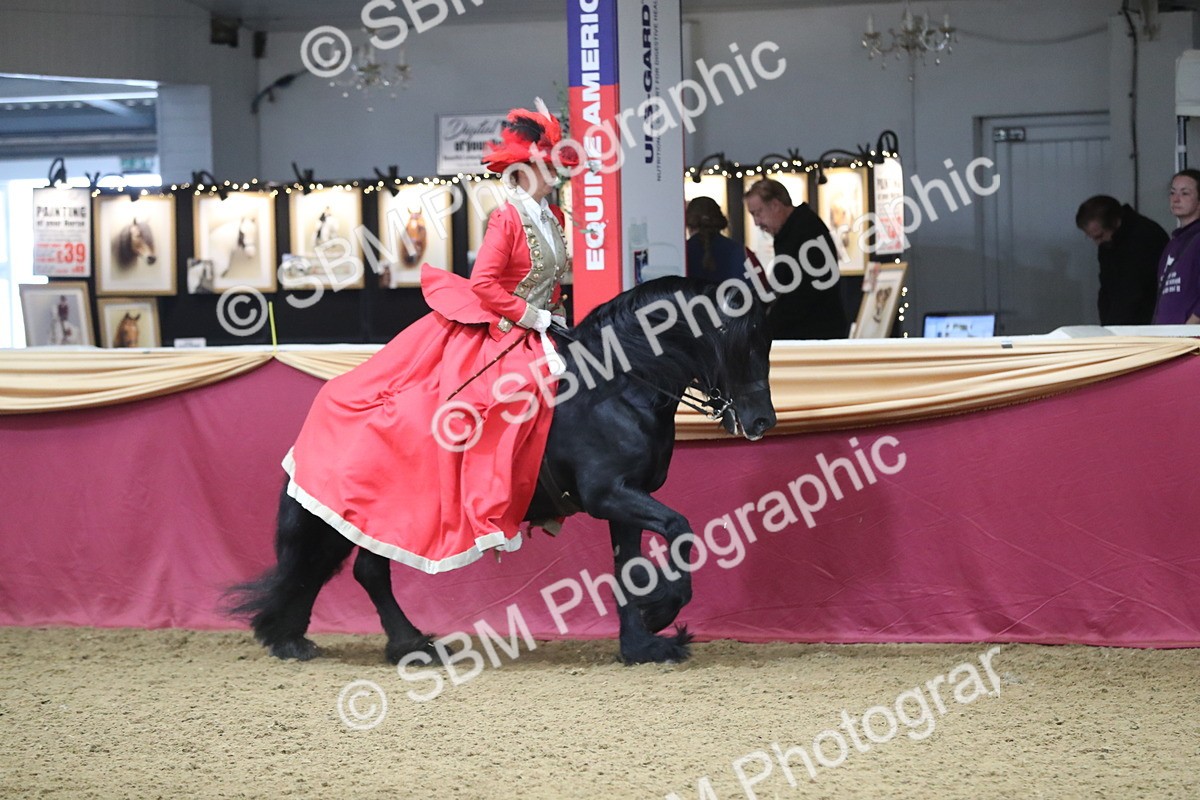 SBM_12125 - Class 107 Ridden Costume- Astride Adult (20+)