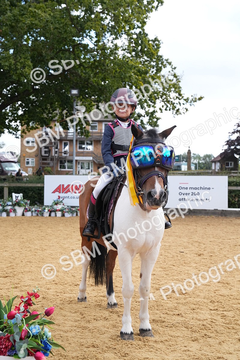 SBM_64566 - J2 - Mini Tour Junior Pony 30cm Championship