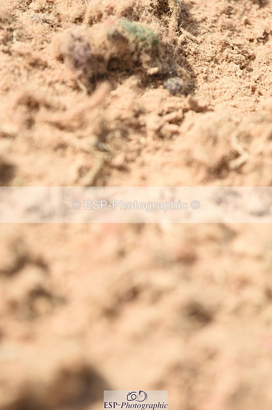 230915A-131140-00455 - Cls 11 Snr Discovery & 1m Open