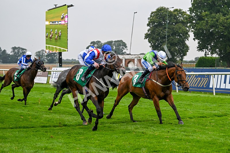 070924-Race 4-Kings Merchant-7564 - Race 4