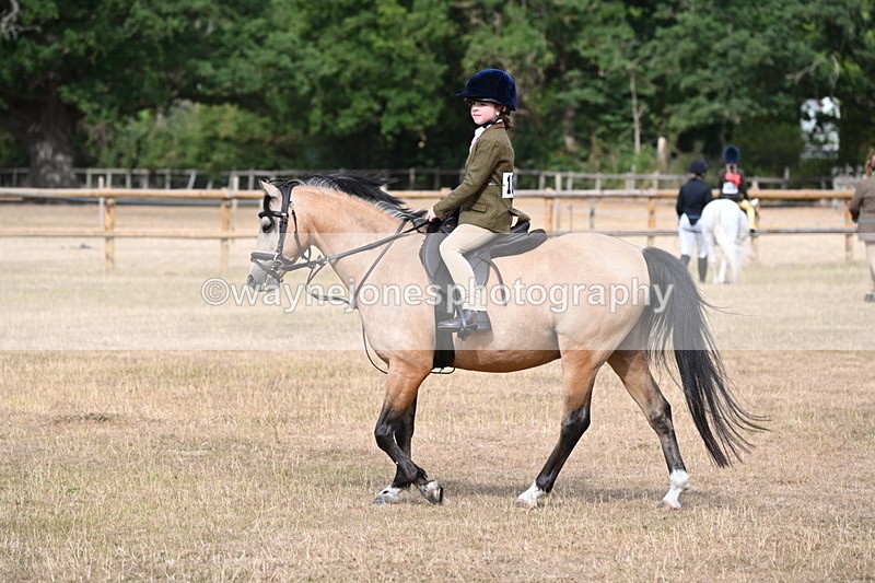 WJ6_7463 - Class 9 Tack and Turnout