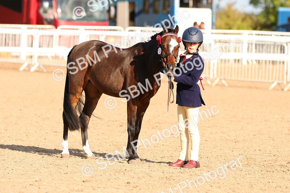 SBM_08667 - Class 203 - Young Handler 10 Years and Under