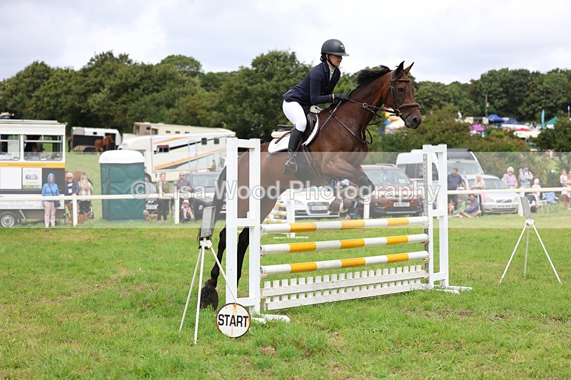 3E7A7273 - Class 5: Senior British Novice/90cm open