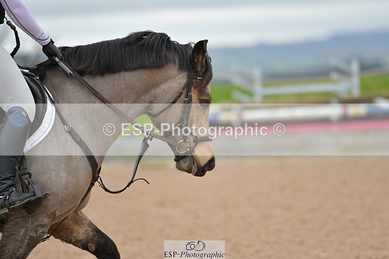 240203A-130839-00447 - 80cm