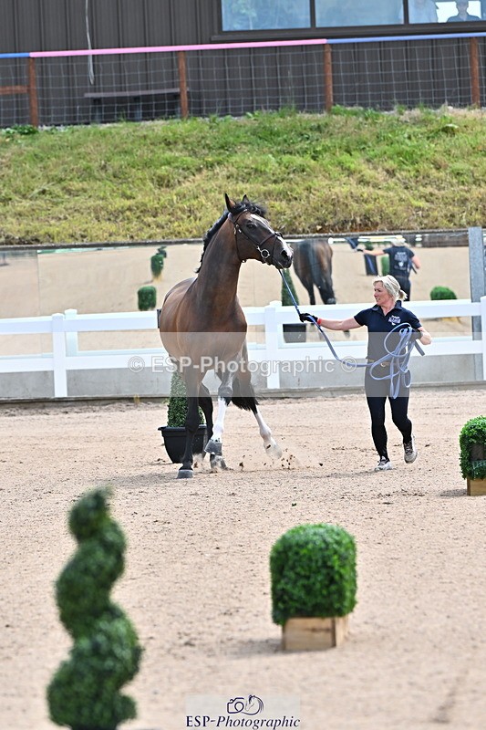 240718A-105236-00874 - Trot Up 11am to 12pm