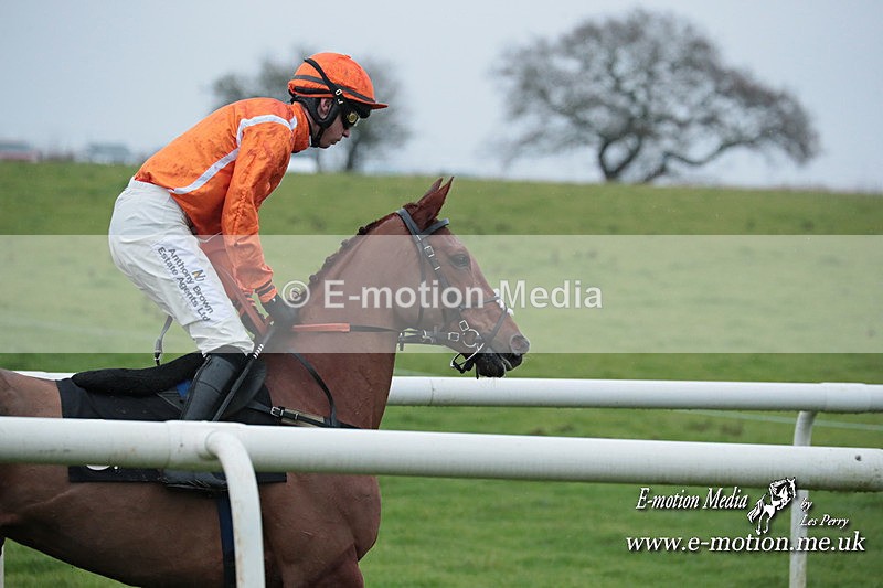 PtP 031223 490 - Wheatland Hunt PtP Chaddesley Races 03/12/23